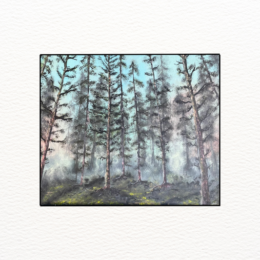 Misty Forest